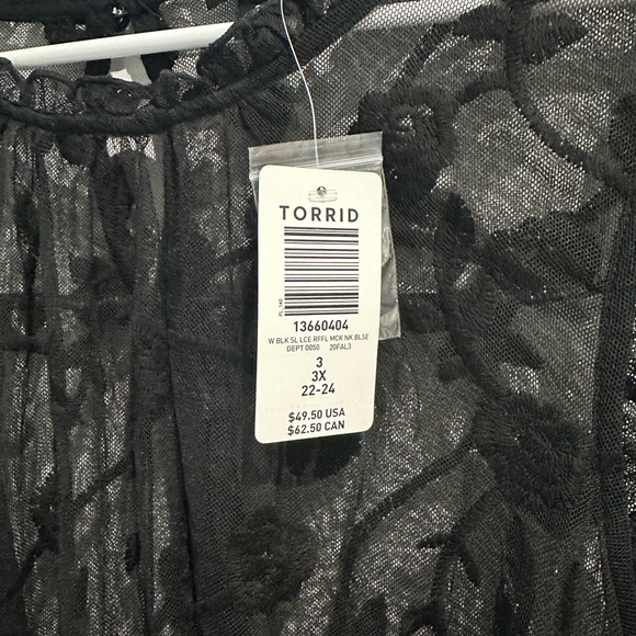 Sheer Mesh Embroidered Ruffle Sleeveless Blouse - Picture 4 of 4